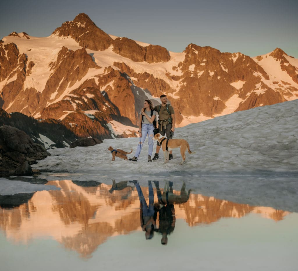 An elopement photography team with their pets by the mountains at sunset.
