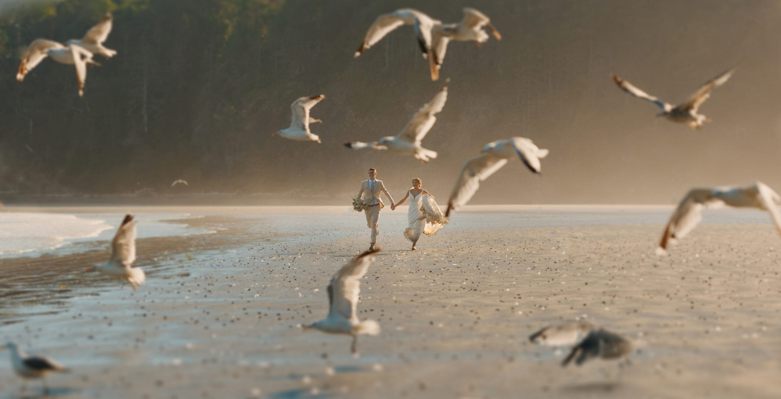 A couple runs on the beach in Olympic National Park as brides fly in the foreground.