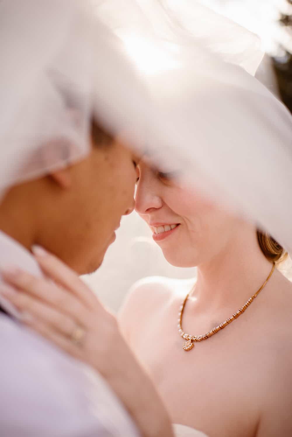 A bride and groom detail photograph close up under a veil.