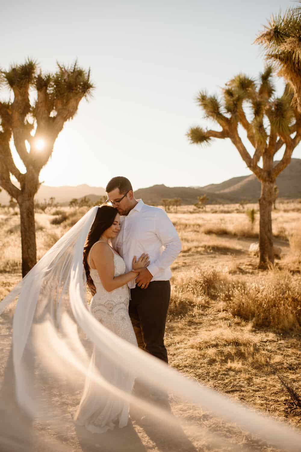 A bride and groom stand in the sun as the wind catches the veil.