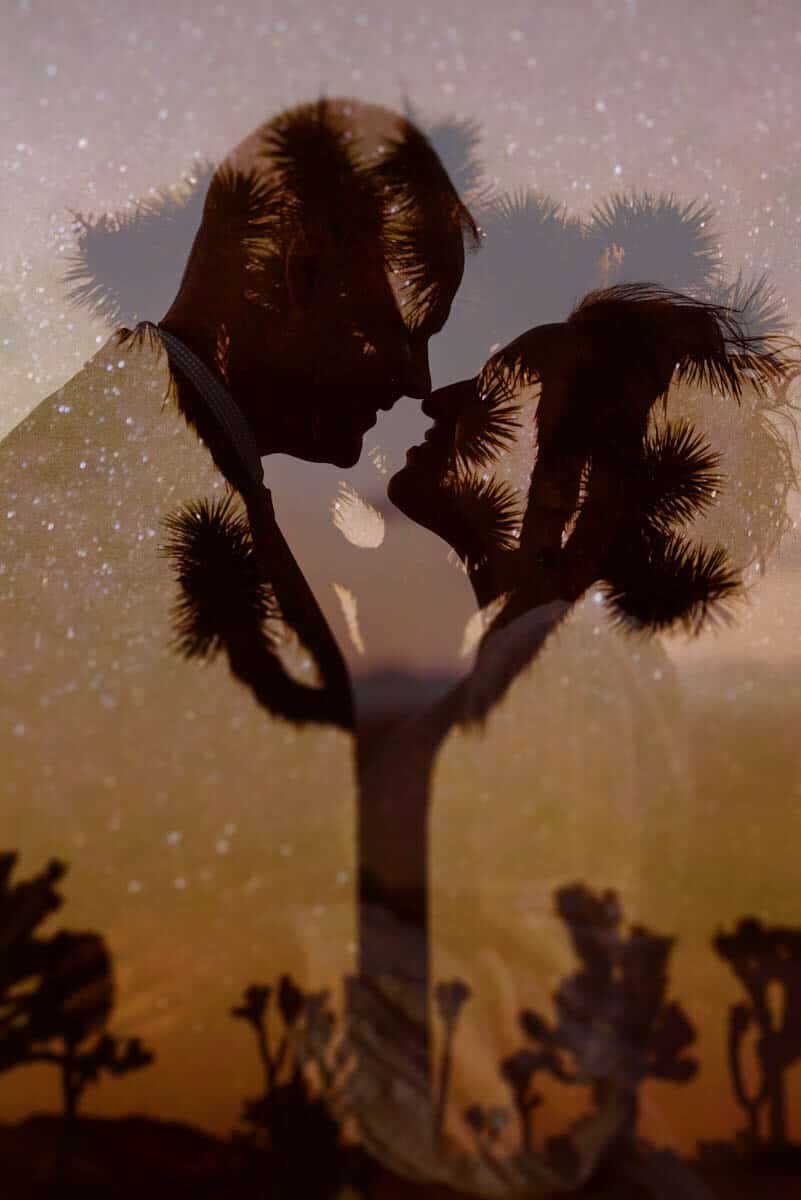 Joshua Tree - Adventure and Vow Elopement-57.jpg