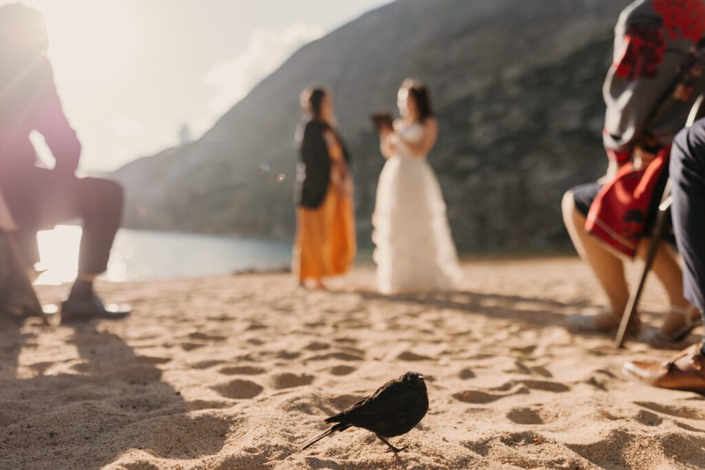 A bride in the isle attending the wedding. 