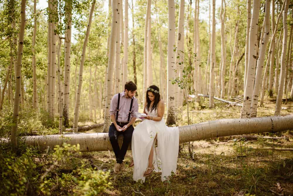 A bride and Groom sit on a tree together in the La Sal mountains reading letters from their loved ones.