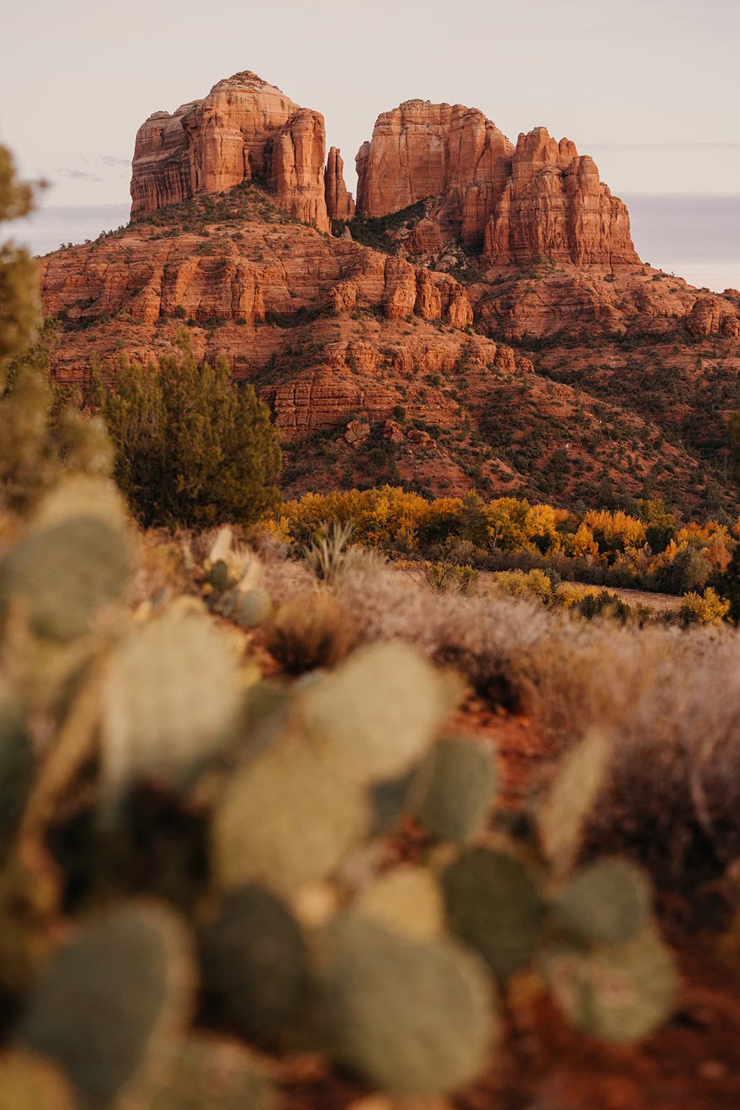 Cathedral rock at sunset from below in Sedona AZ