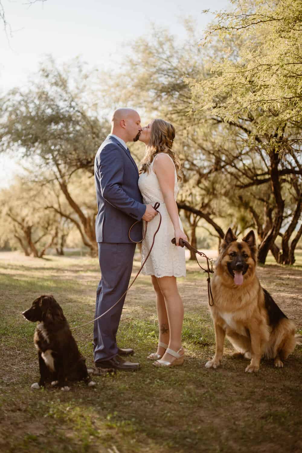A couple kisses holding the leashes of their two dogs.