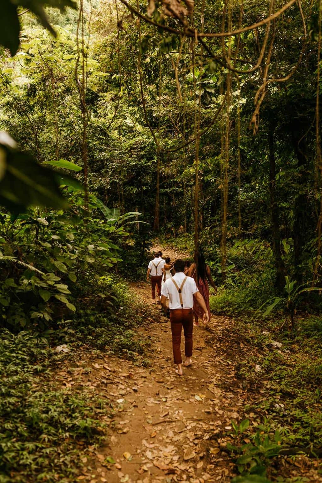 A groom and his groomsmen walk down a path together in the rainforest.