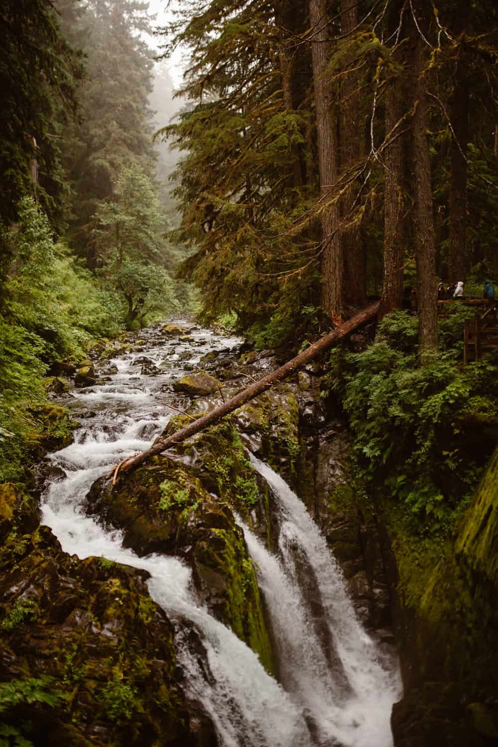 waterfalls-in-olympic